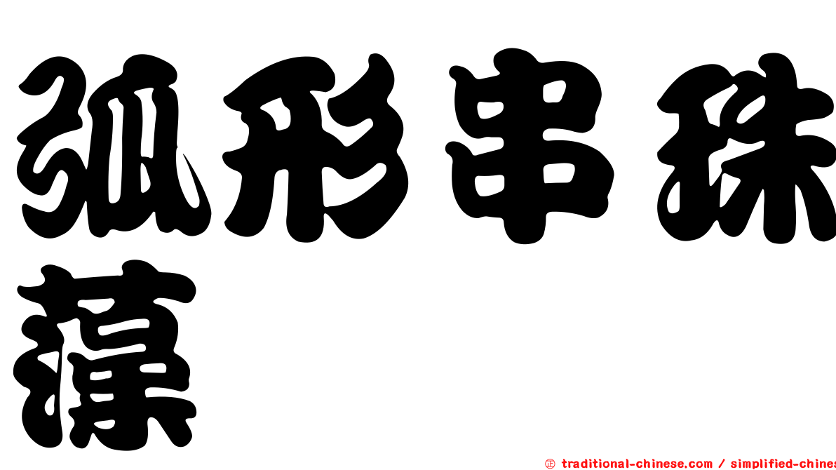弧形串珠藻