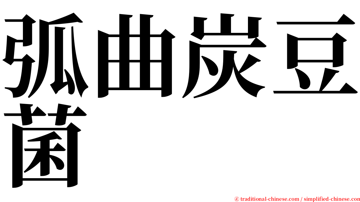弧曲炭豆菌 serif font
