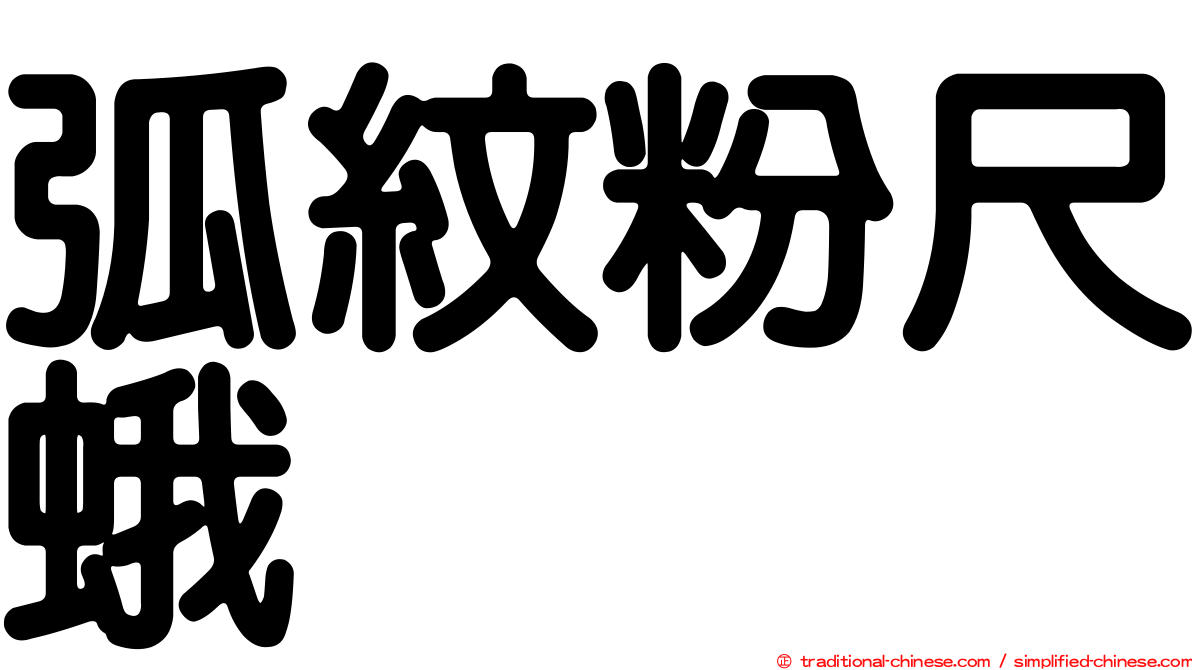 弧紋粉尺蛾
