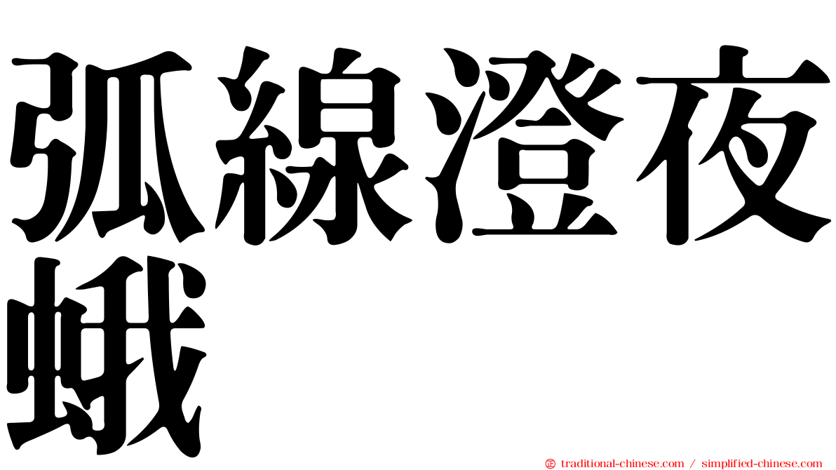 弧線澄夜蛾