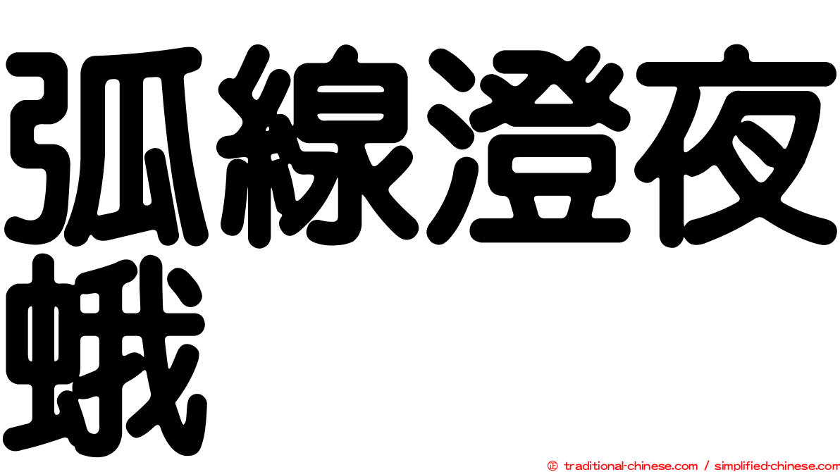 弧線澄夜蛾