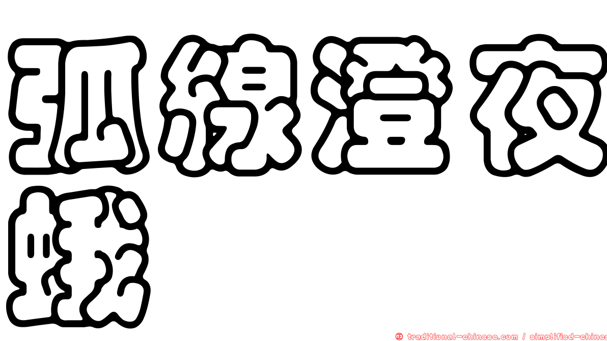 弧線澄夜蛾
