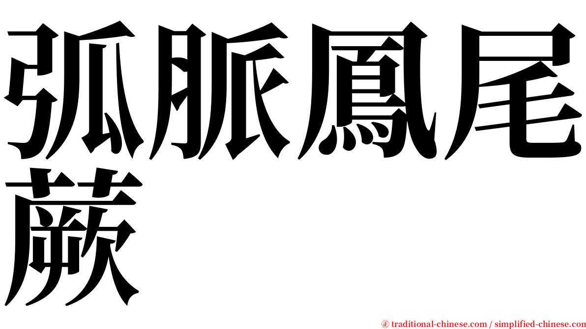 弧脈鳳尾蕨 serif font