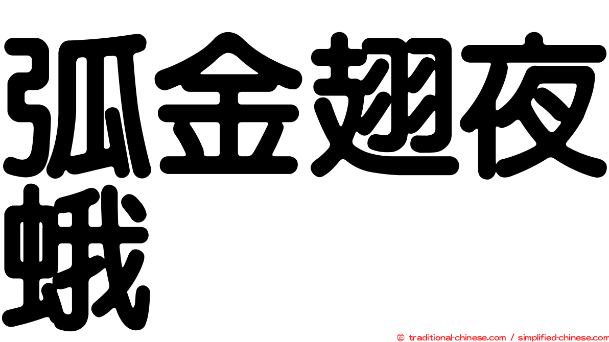 弧金翅夜蛾