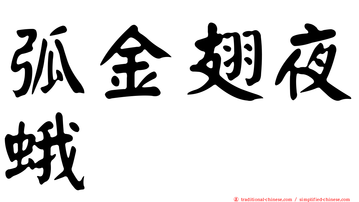 弧金翅夜蛾