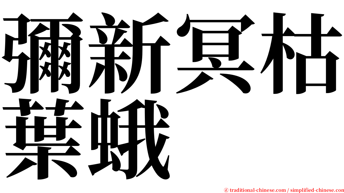 彌新冥枯葉蛾 serif font