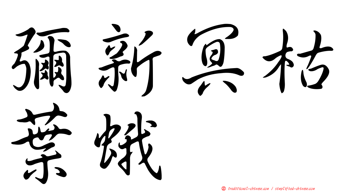 彌新冥枯葉蛾
