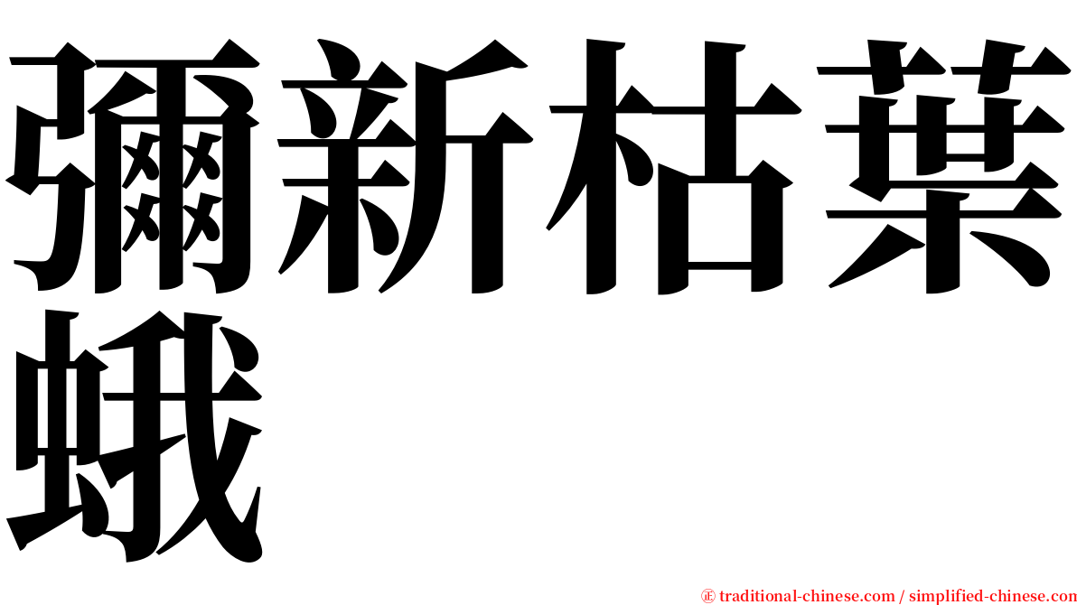 彌新枯葉蛾 serif font