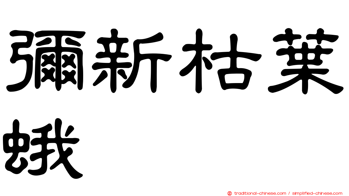彌新枯葉蛾