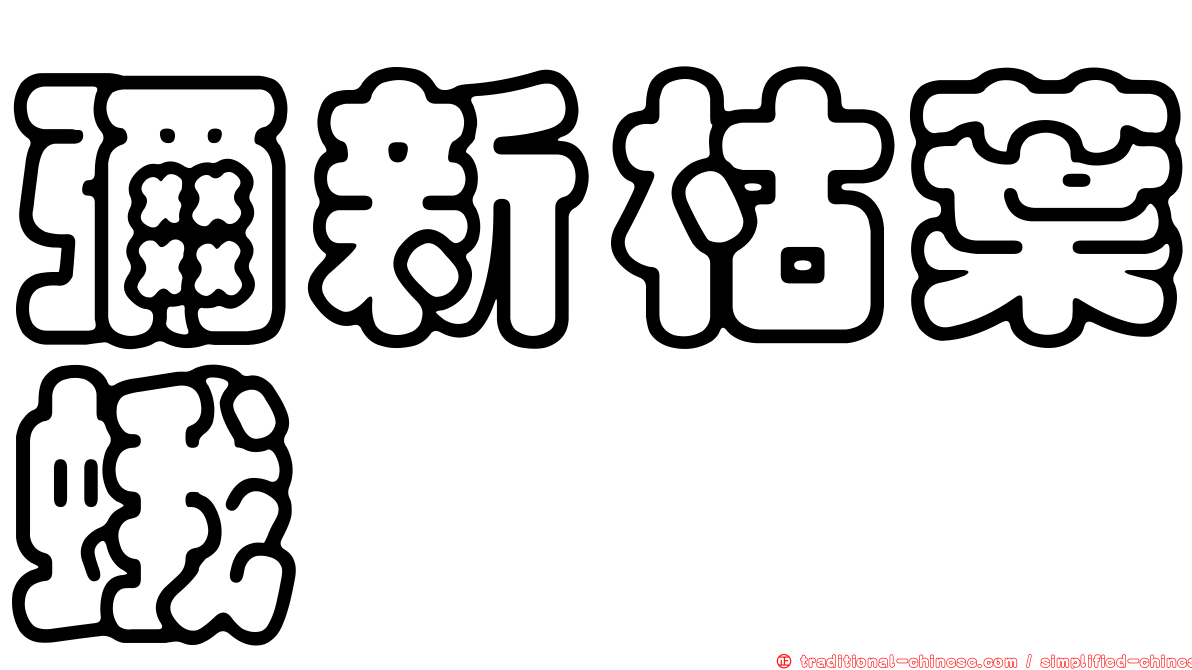 彌新枯葉蛾