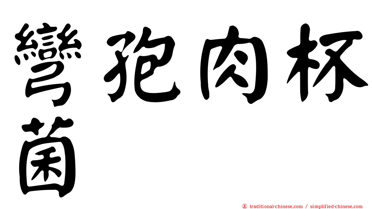 彎孢肉杯菌