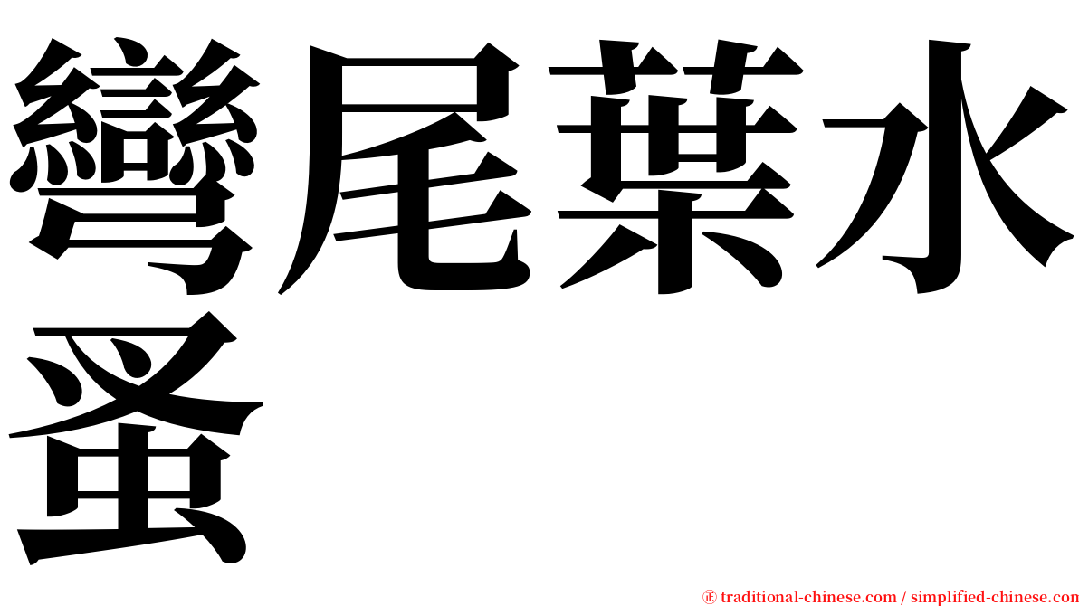 彎尾葉水蚤 serif font