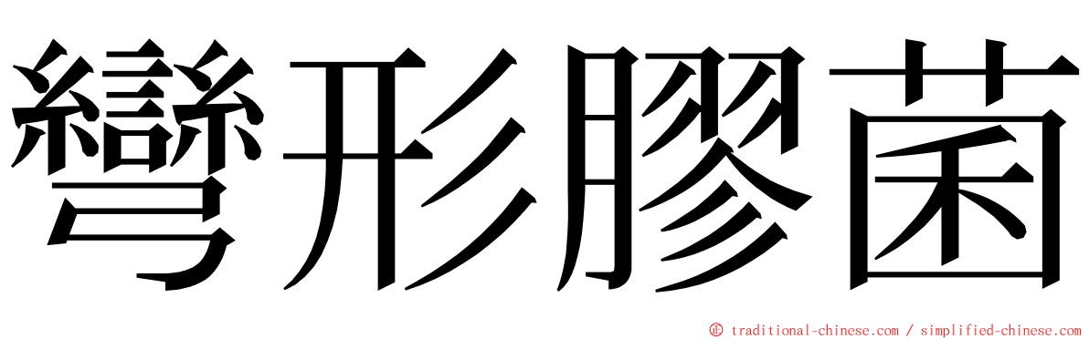 彎形膠菌 ming font