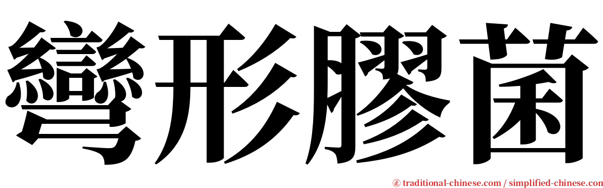 彎形膠菌 serif font
