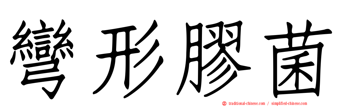 彎形膠菌