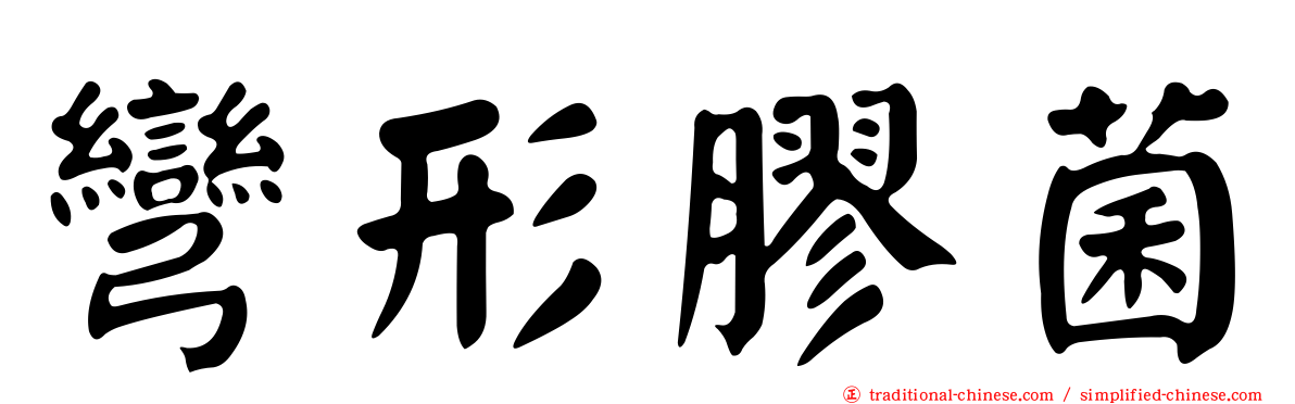 彎形膠菌