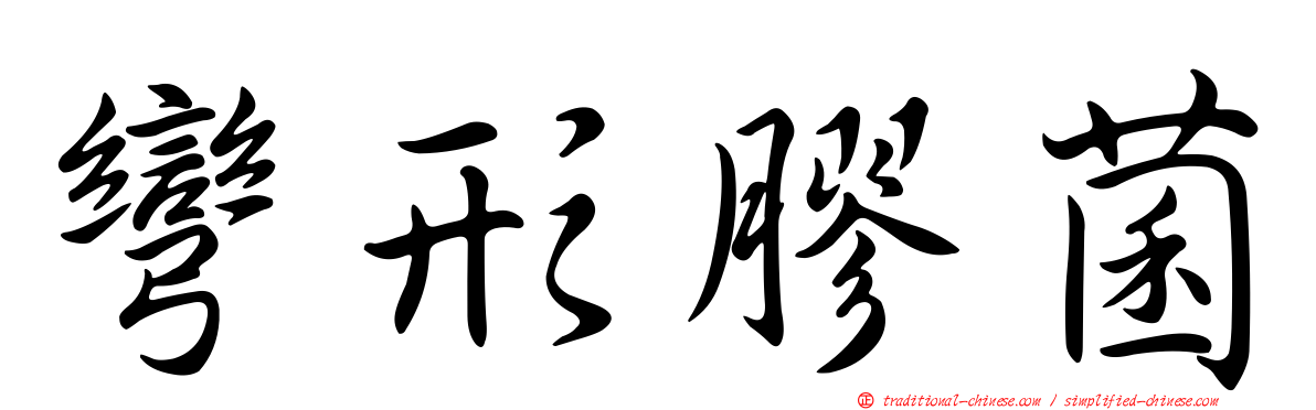 彎形膠菌