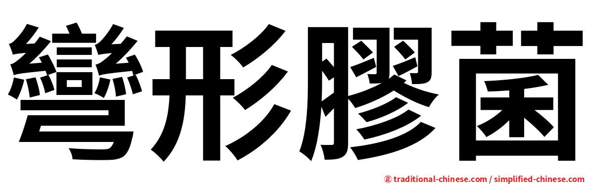 彎形膠菌