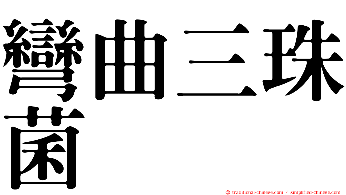 彎曲三珠菌