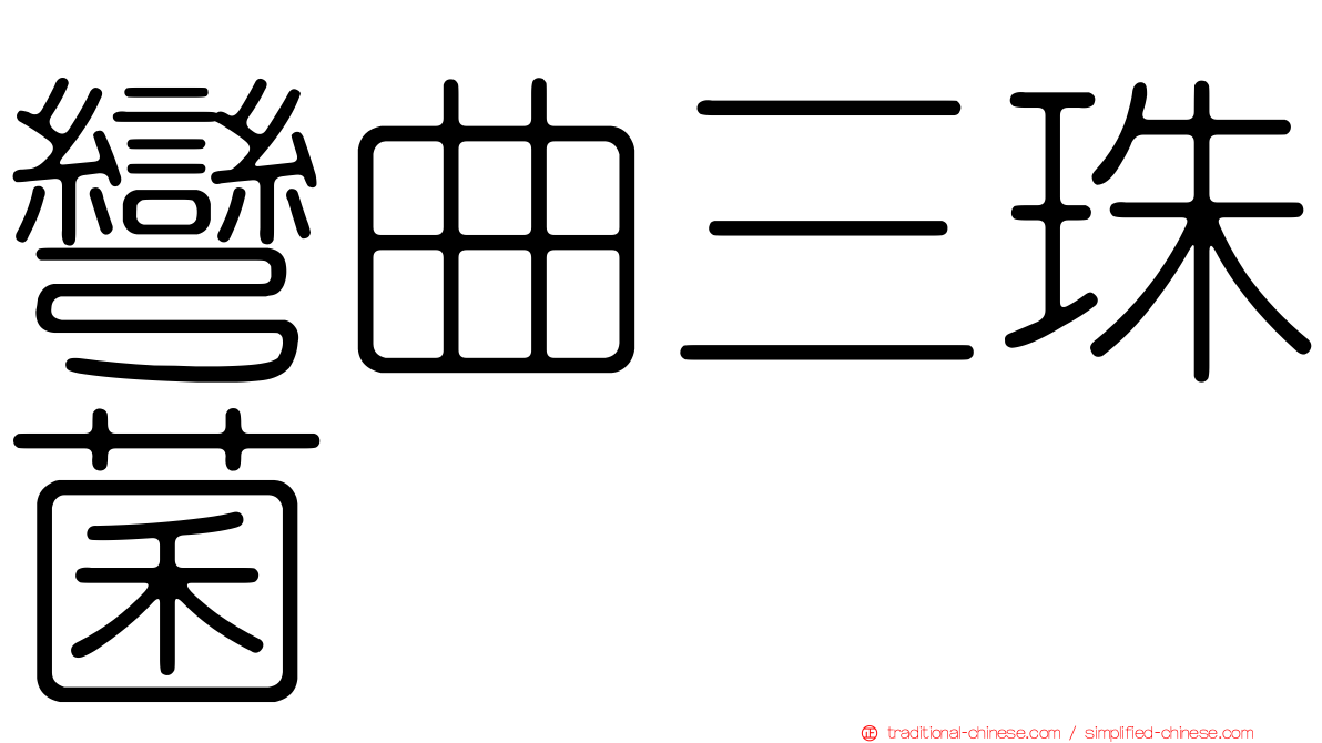 彎曲三珠菌