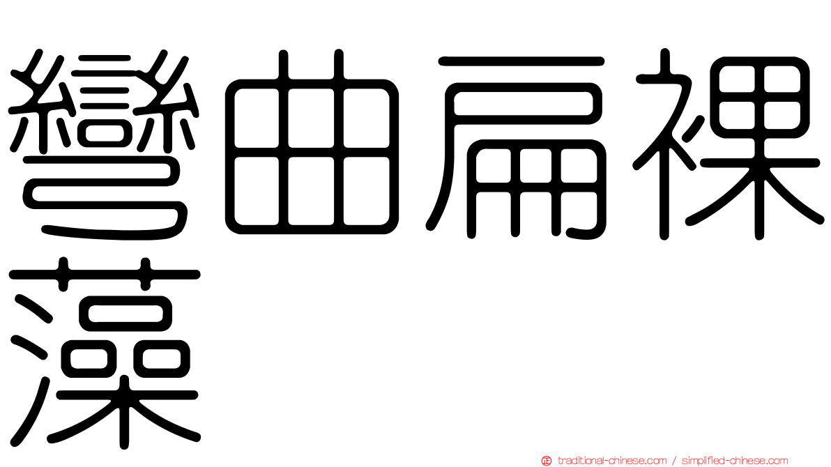 彎曲扁裸藻