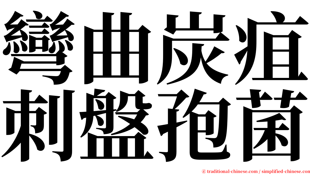 彎曲炭疽刺盤孢菌 serif font