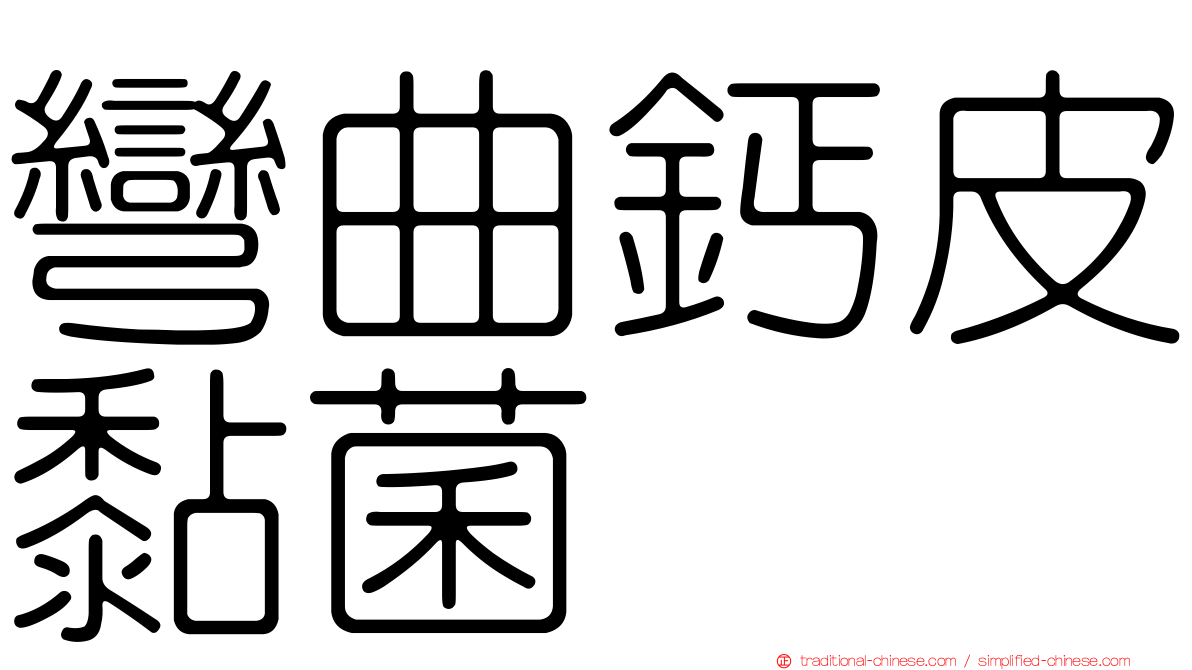 彎曲鈣皮黏菌