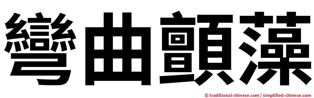 彎曲顫藻