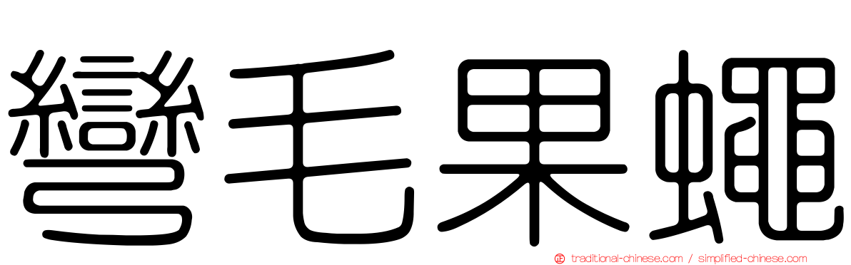 彎毛果蠅