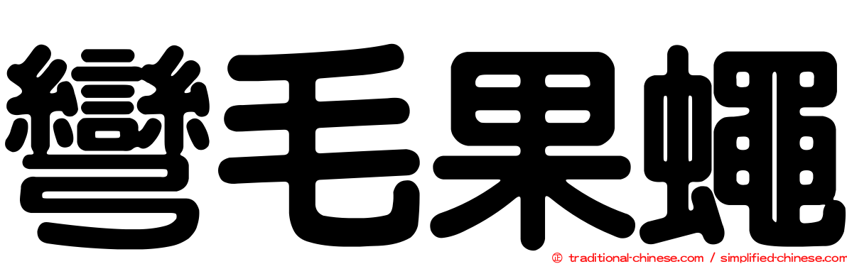 彎毛果蠅
