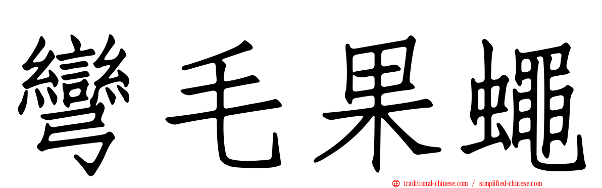 彎毛果蠅