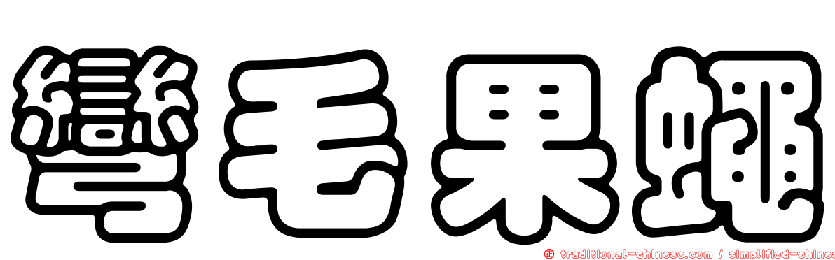 彎毛果蠅