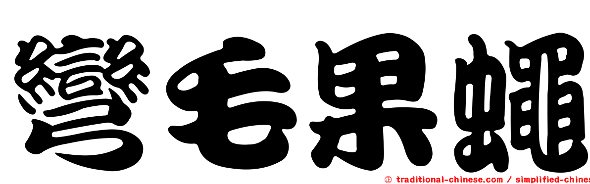 彎毛果蠅