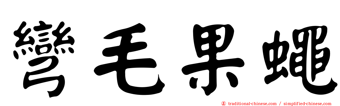 彎毛果蠅