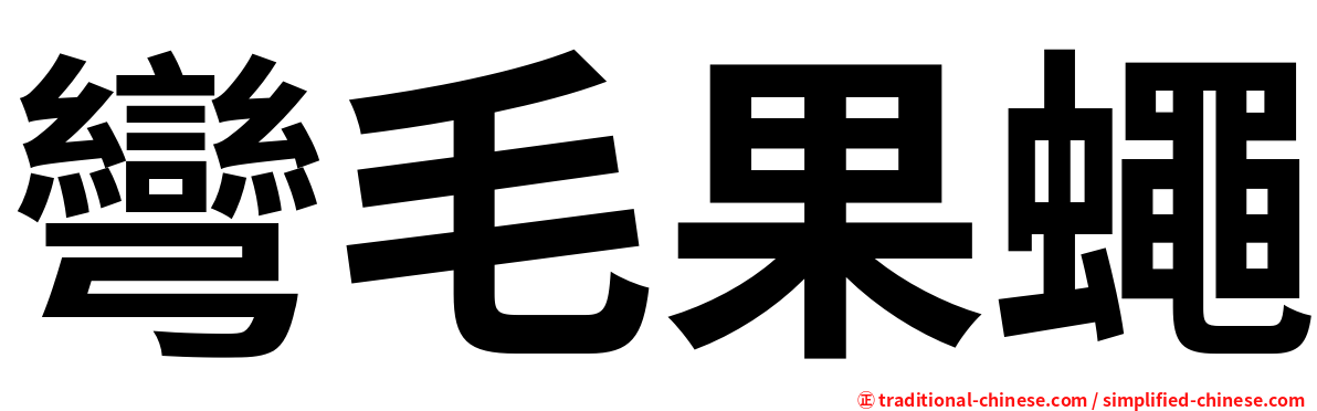 彎毛果蠅