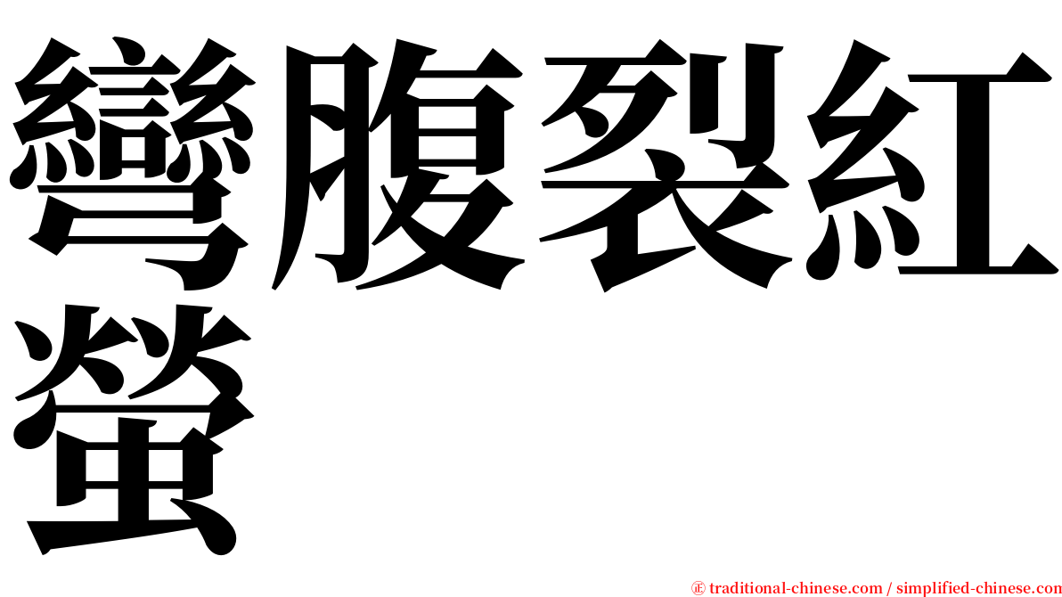 彎腹裂紅螢 serif font