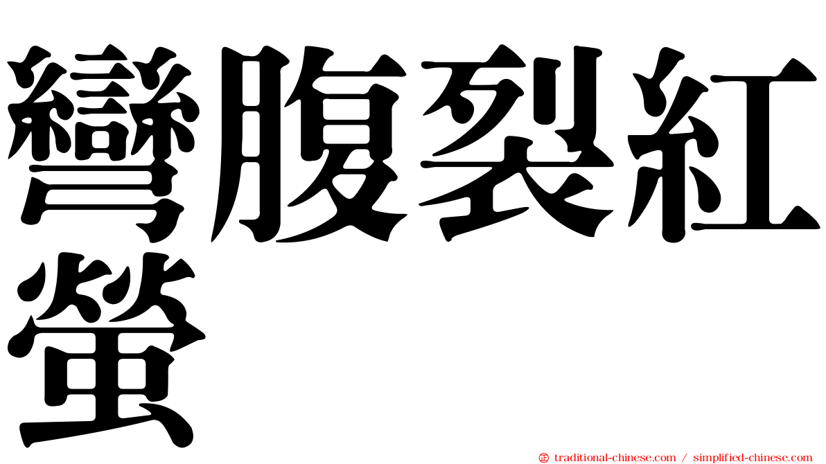 彎腹裂紅螢