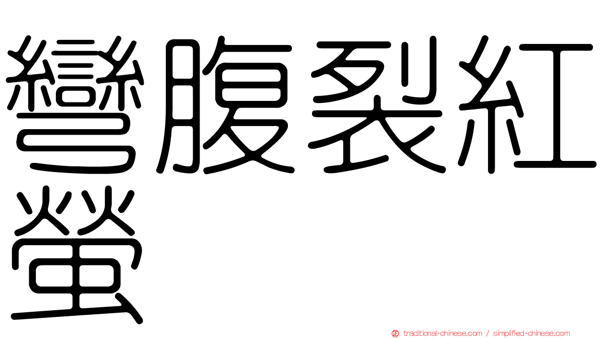 彎腹裂紅螢