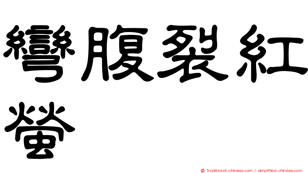 彎腹裂紅螢