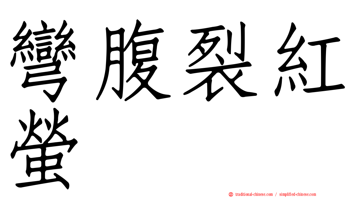 彎腹裂紅螢
