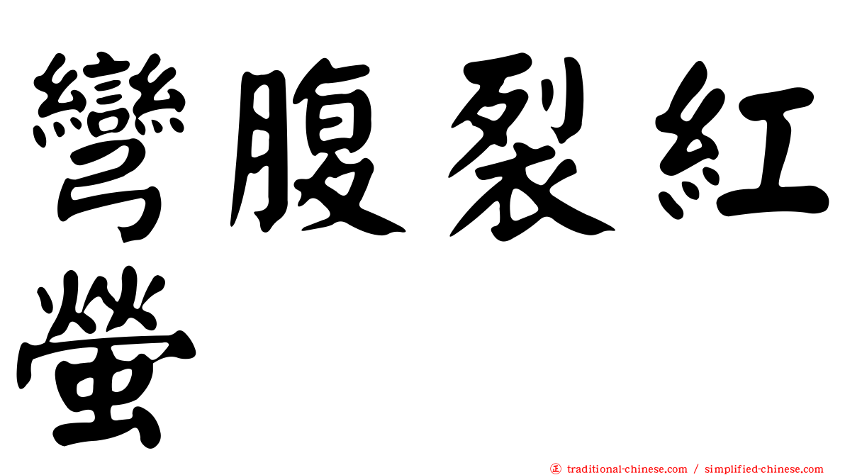 彎腹裂紅螢