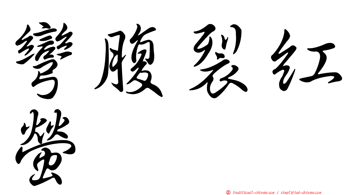 彎腹裂紅螢