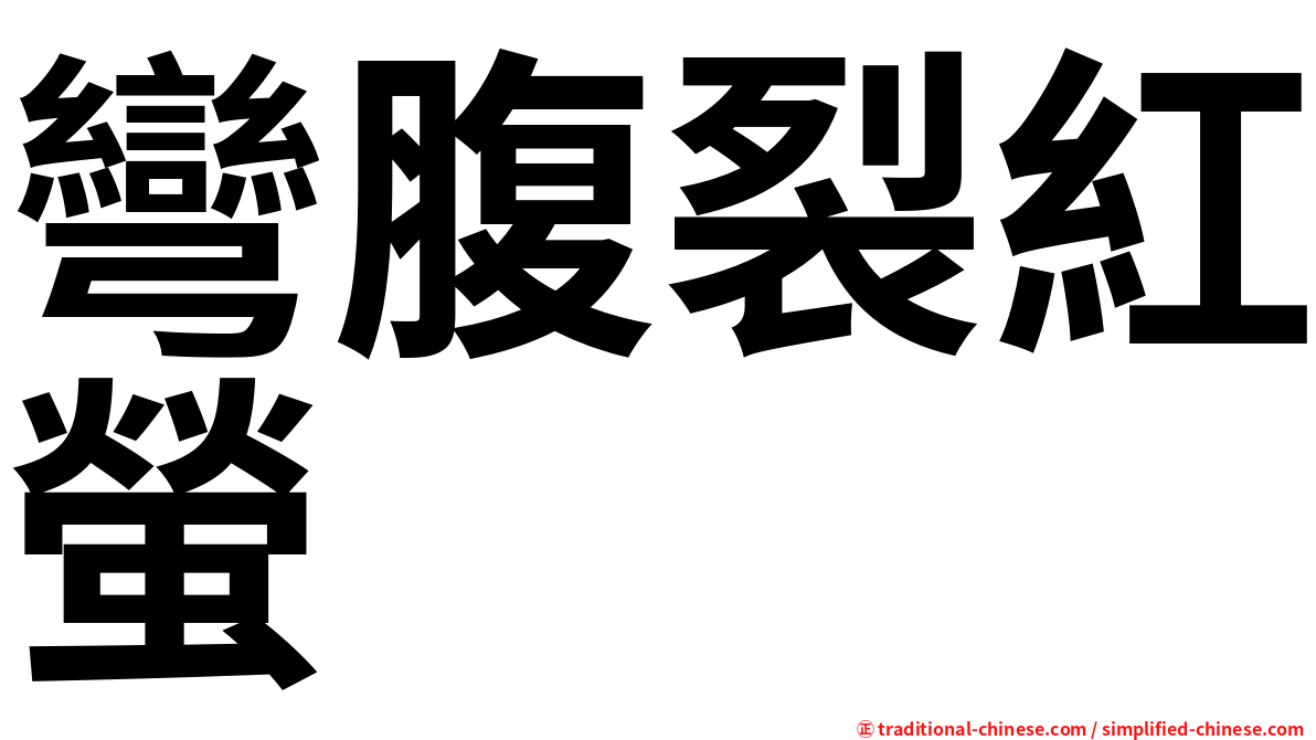 彎腹裂紅螢