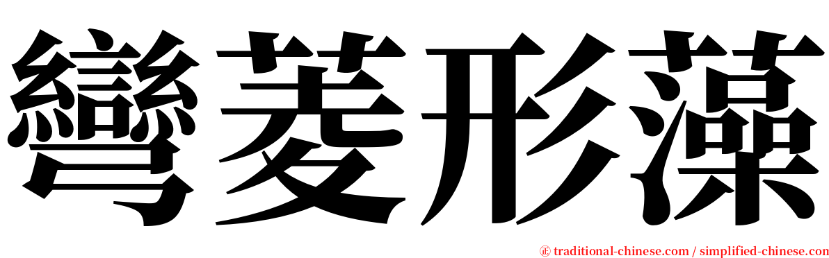 彎菱形藻 serif font