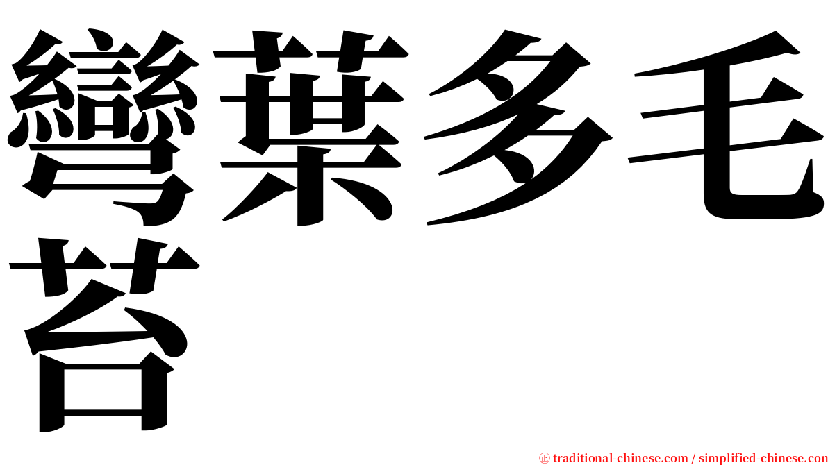彎葉多毛苔 serif font