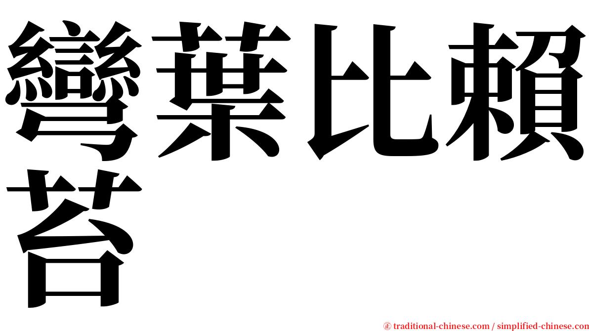 彎葉比賴苔 serif font