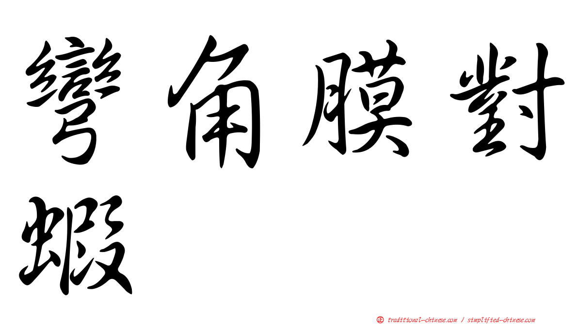 彎角膜對蝦