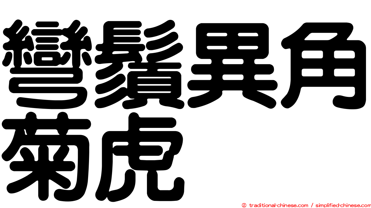 彎鬚異角菊虎