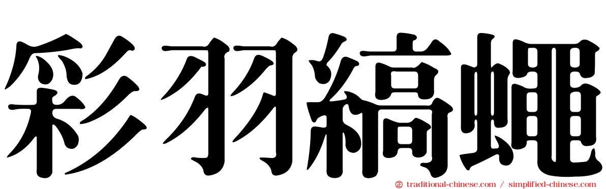 彩羽縞蠅