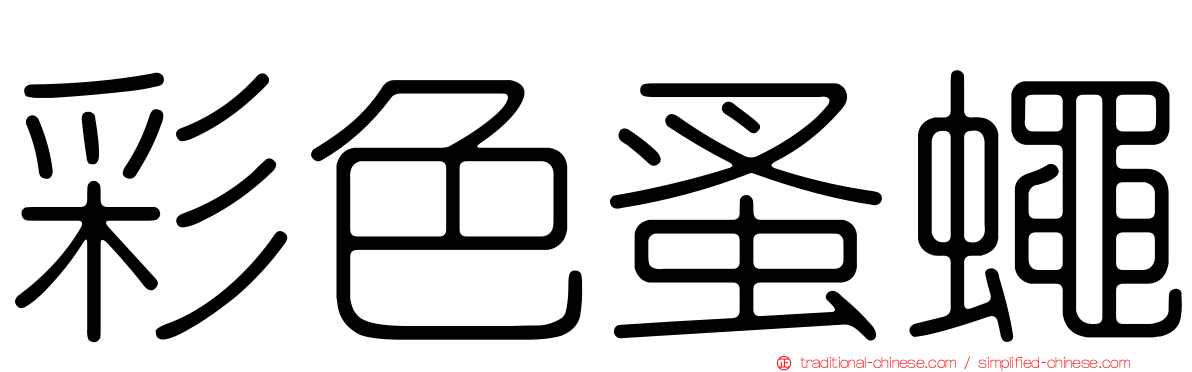 彩色蚤蠅